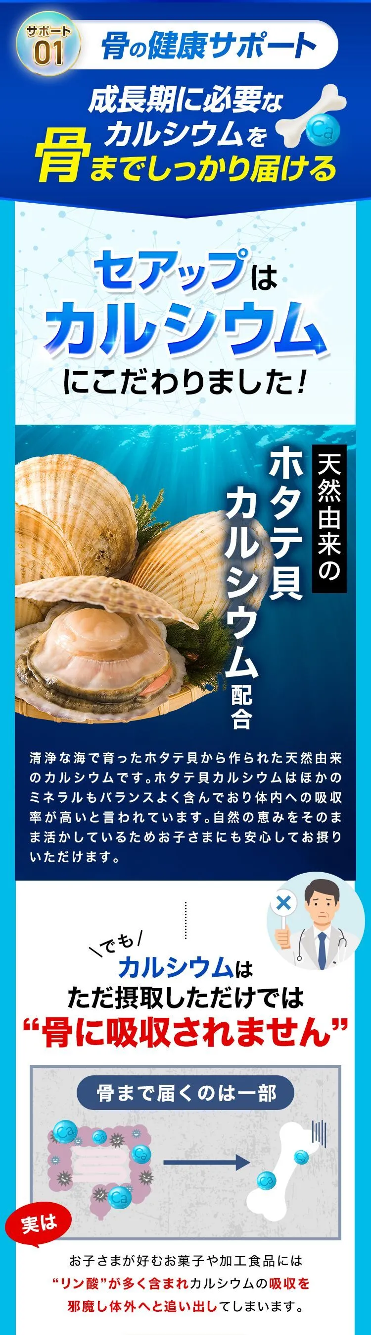 サポート01 骨の健康サポート 天然由来のホタテ貝カルシウム配合