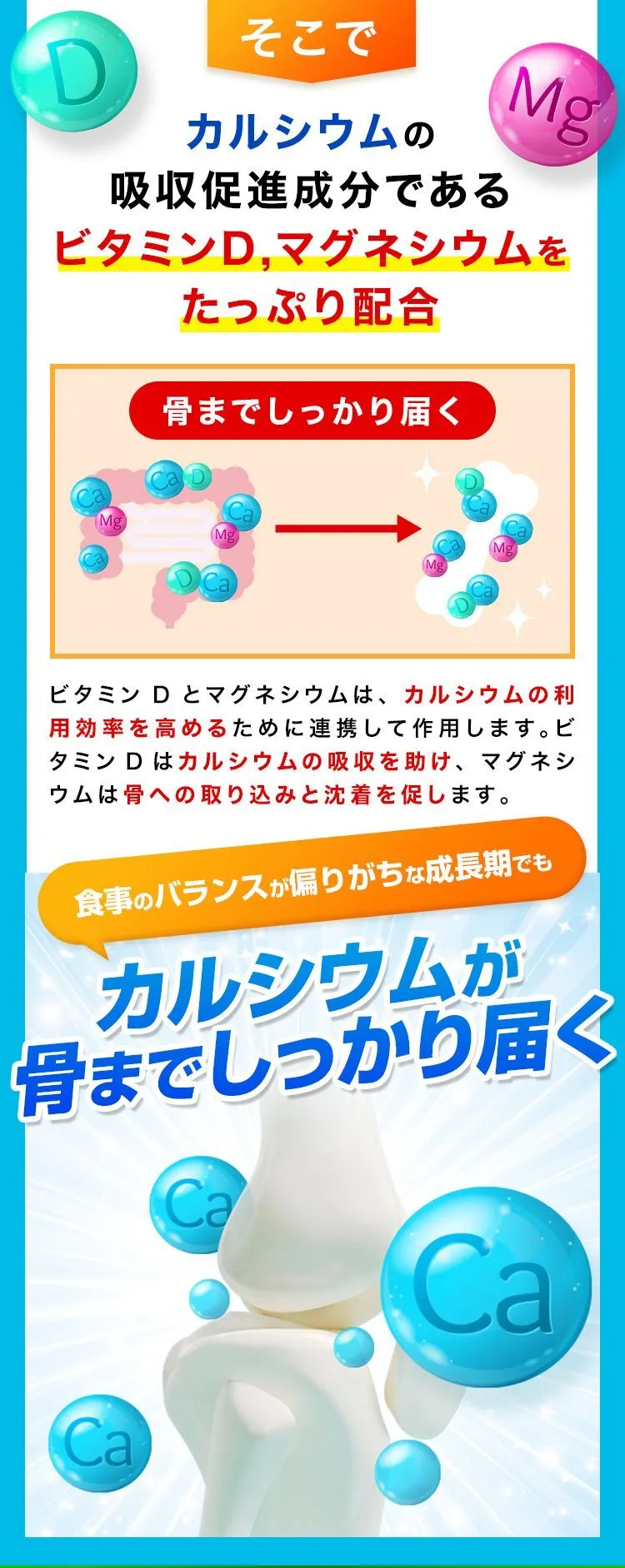 カルシウムの吸収促進成分であるビタミンD・マグネシウムを配合