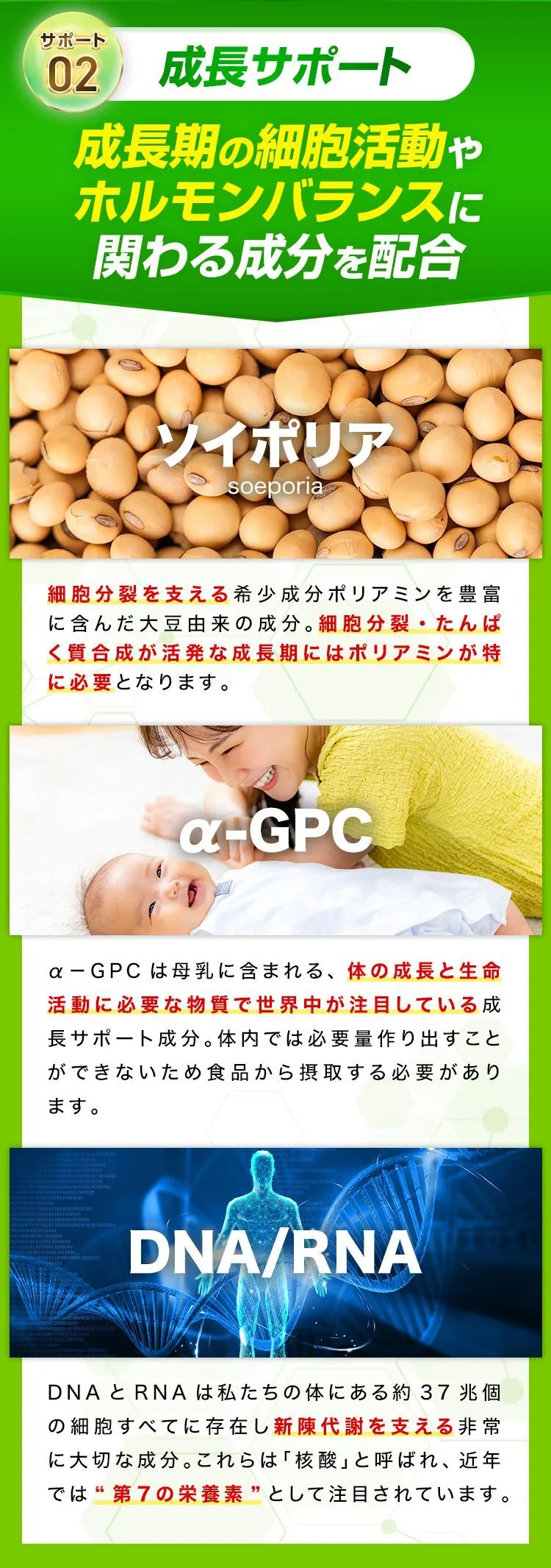 サポート02 成長サポート ソイポリア・α-GPC・DNA/RNAを配合